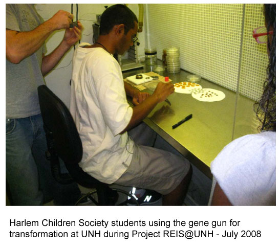 Harlem Children Society students using the gene gun for transformation at UNH during Project REIS@UNH - July 2008