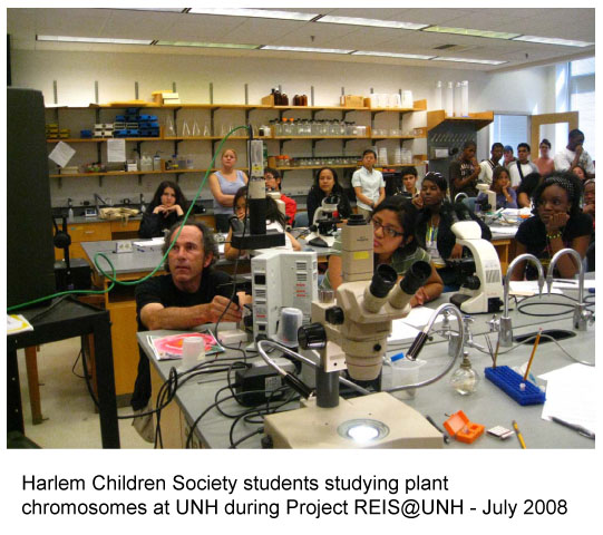 Harlem Children Society students studying plant chromosomes at UNH during Project REIS@UNH - July 2008